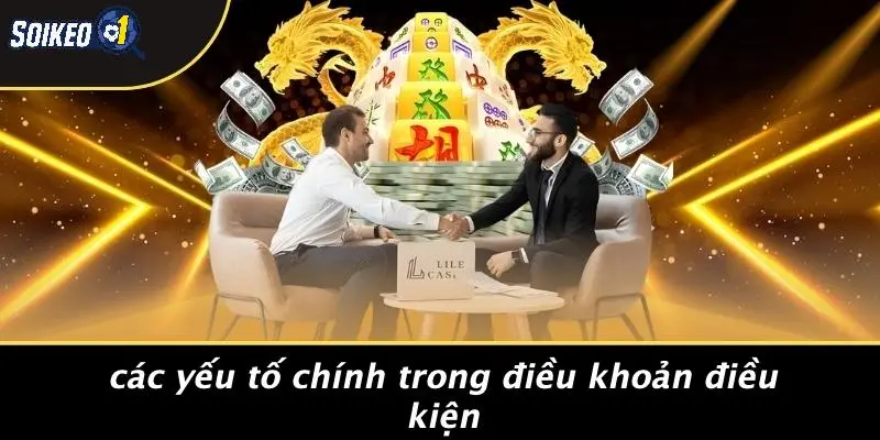 Các Yếu Tố Chính Trong Điều Khoản Điều Kiện