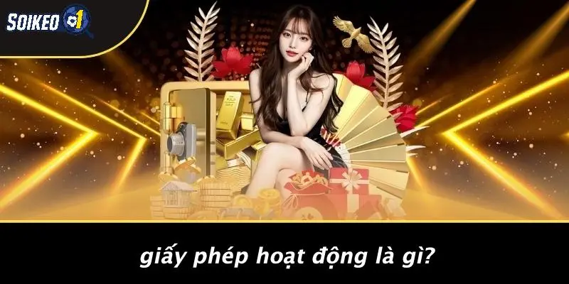Giấy Phép Hoạt Động Là Gì?