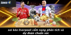 Soi kèo Liverpool