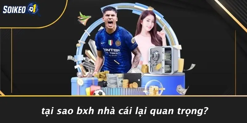 Tại Sao BXH Nhà Cái Lại Quan Trọng?