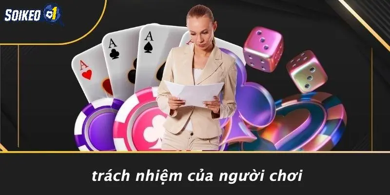 Trách Nhiệm Của Người Chơi