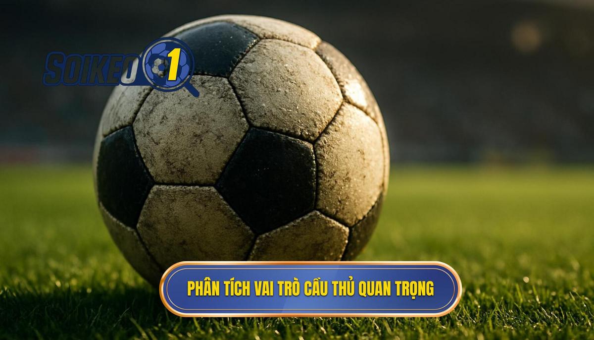 Phân Tích Chuyên Sâu Vai Trò Cầu Thủ Chủ Chốt