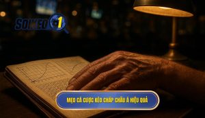 Mẹo cá cược kèo chấp châu Á hiệu quả