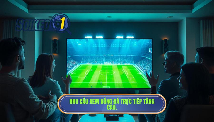 Tại sao nhu cầu tìm kiếm Link xem bóng đá trực tiếp hôm nay ngày càng tăng?