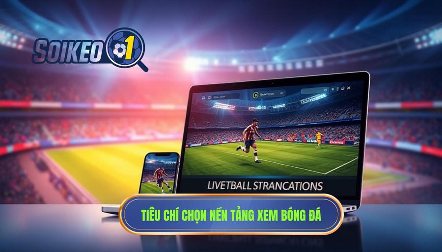 Các tiêu chí đánh giá một nền tảng xem trực tiếp bóng đá chất lượng