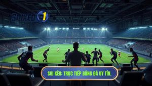 Trực tiếp bóng đá Việt Nam hôm nay